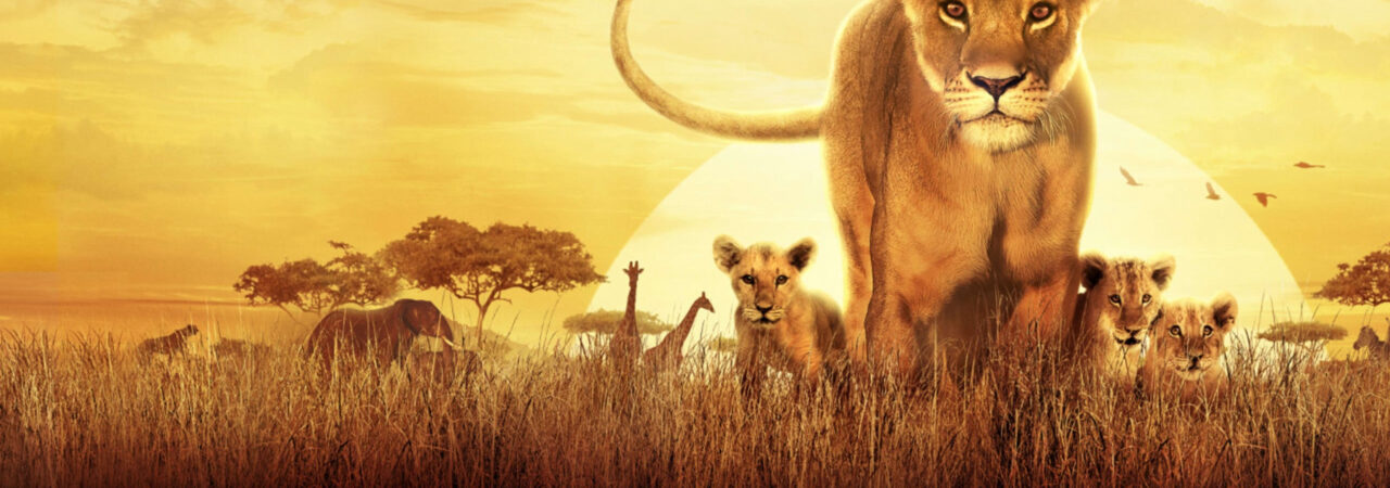 Poster of Serengeti