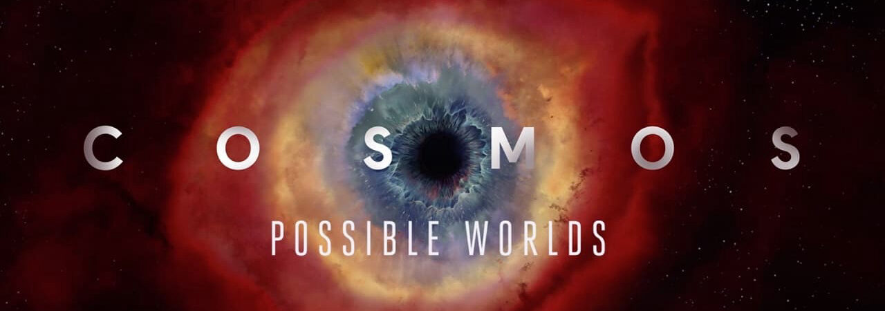 Poster of Cosmos Possible Worlds