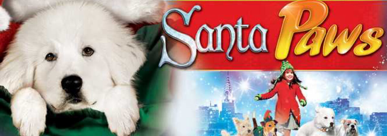 Poster of The Search for Santa Paws