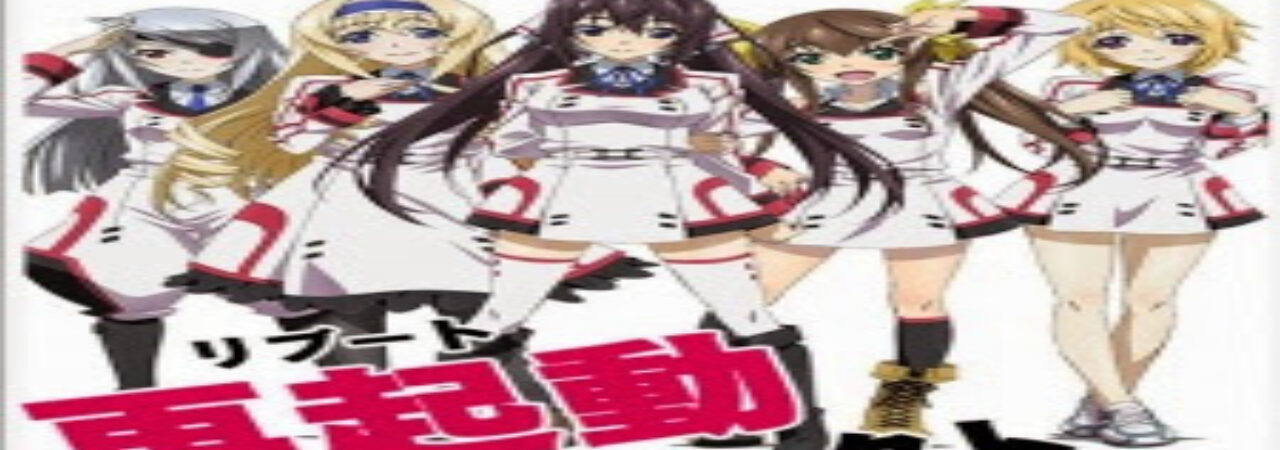 Poster of IS Infinite Stratos 2 World Purge hen