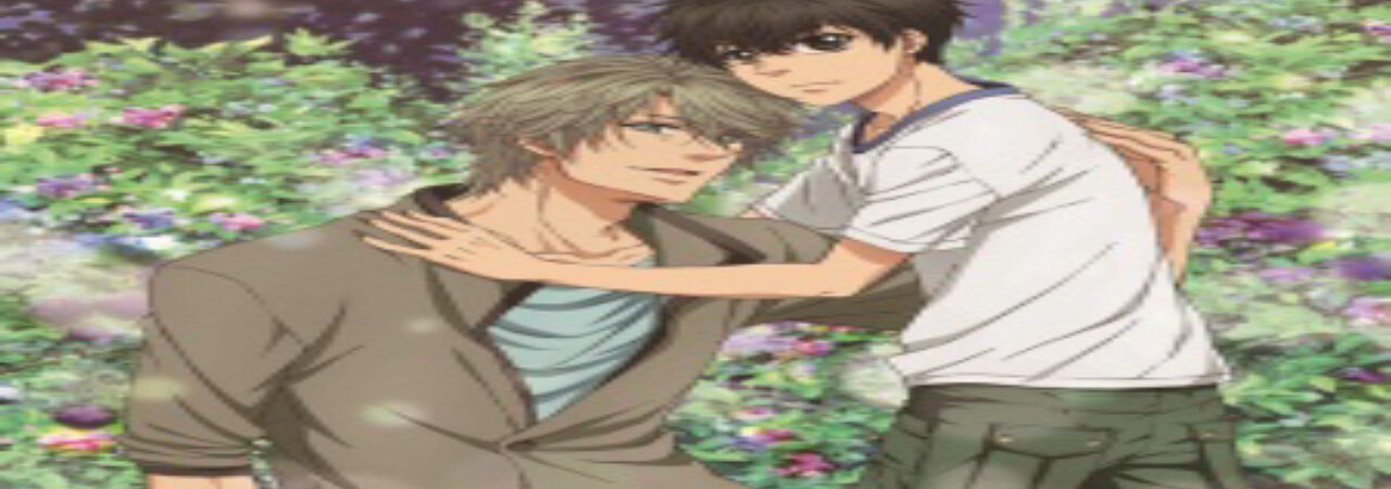 Poster of Super Lovers 2