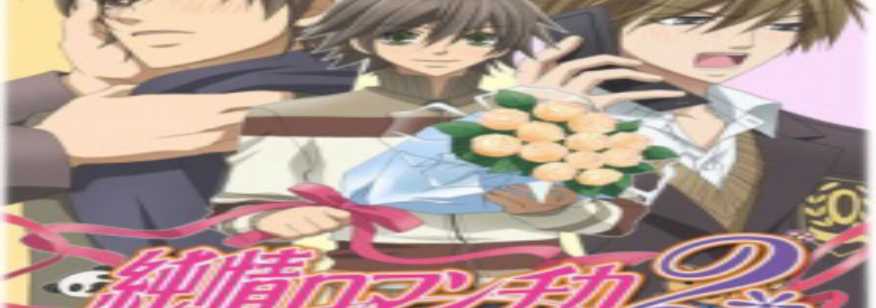 Poster of Junjou Romantica 2