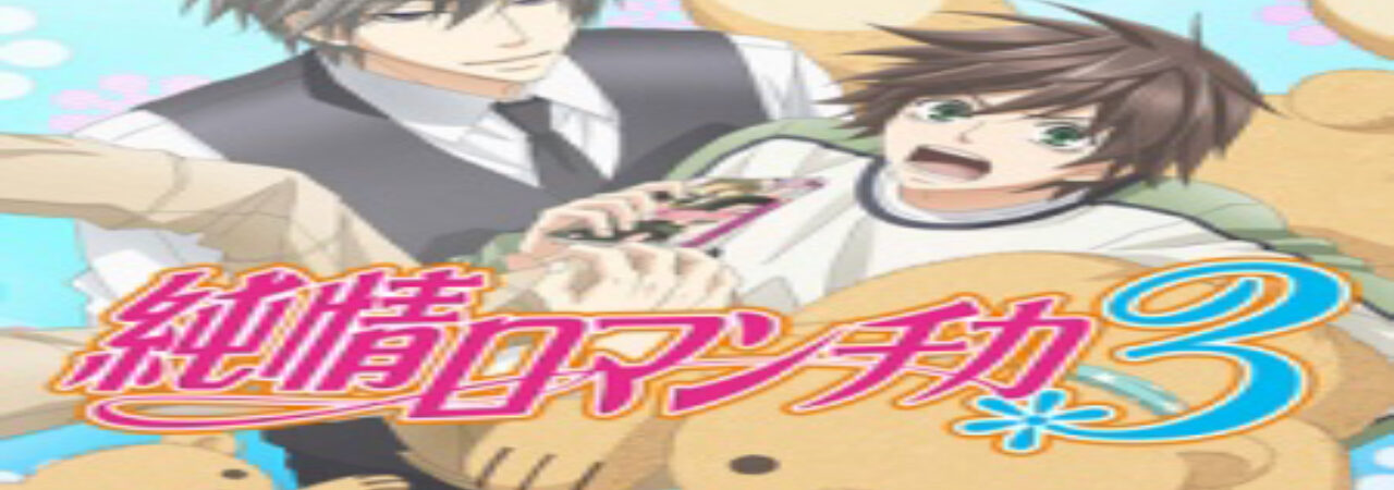 Poster of Junjou Romantica 3