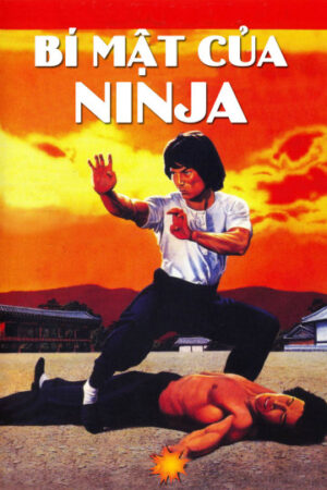 Phim Bí Mật Của Ninja HD Thuyết Minh