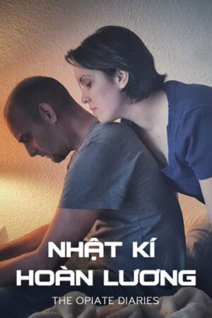 Phim Nhật Ký Hoàn Lương HD Vietsub