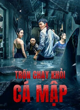 Phim Trốn Chạy Khỏi Cá Mập HD Vietsub