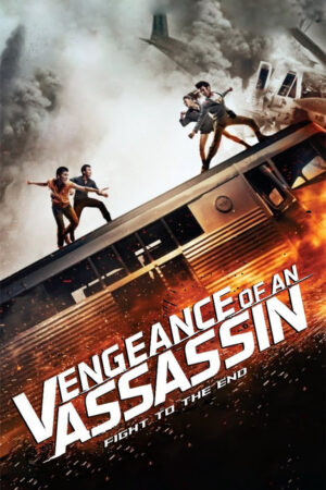 Phim Vengeance of an Assassin HD Vietsub