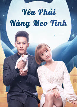 Phim Yêu Phải Nàng Meo Tinh HD Vietsub