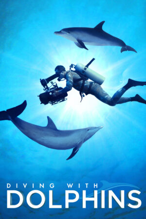 Phim Diving with Dolphins HD Vietsub