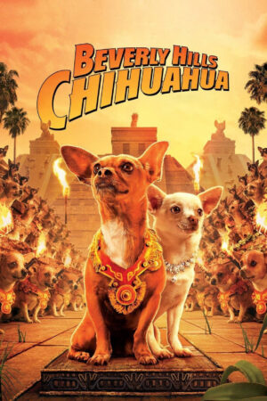 Phim Những Chú Chó Chihuahua HD Vietsub