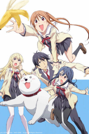 Phim Cô Nàng Ngốc Aho Girl HD Vietsub