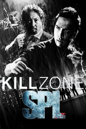 Phim SPL Kill Zone HD Vietsub