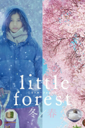 Phim Little Forest WinterSpring HD Vietsub