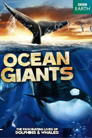 Phim Ocean Giants HD Vietsub