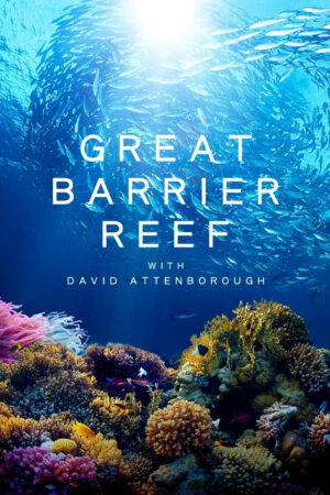 Phim Khám Phá Rạn San Hô Great Barrier cùng David Attenborough HD Vietsub