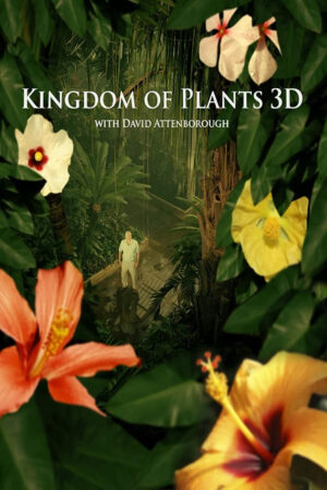 Phim Kingdom of Plants HD Vietsub