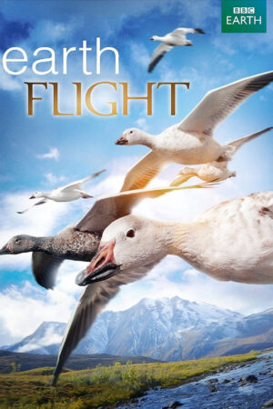 Phim Earthflight HD Vietsub