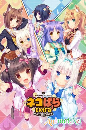 Phim Nekopara Koneko no Hi no Yakusoku Vietsub