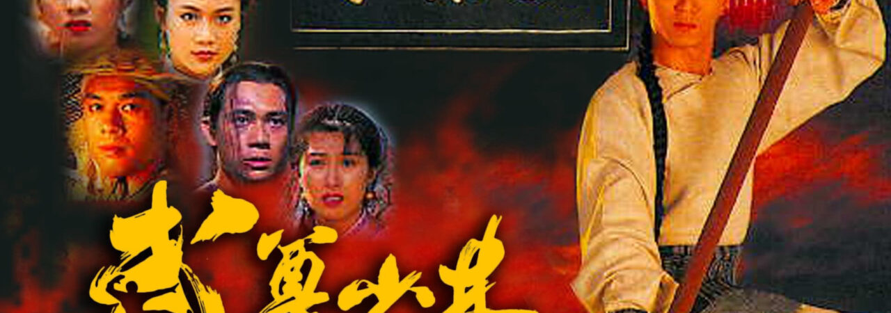 Poster of Lò Võ Thiếu Lâm